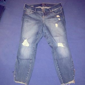 Torrid Stiletto Jegging